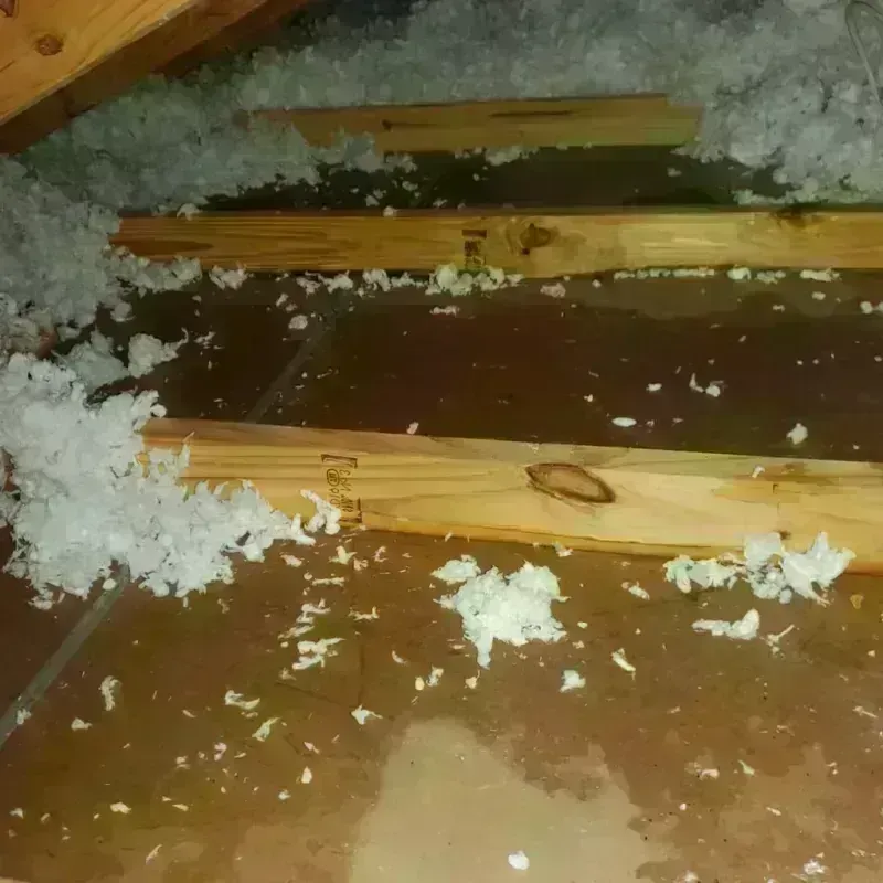 Attic Water Damage in Lemoore, CA